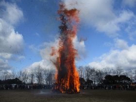 第15回 森林植物園とんどやき