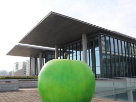 兵庫県立美術館青りんご