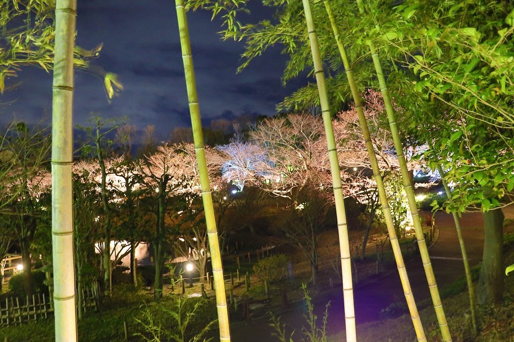 しあわせの村日本庭園