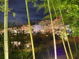 しあわせの村日本庭園