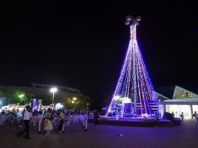 神戸総合運動公園『パークDEビア～星空のビアガーデン』開催