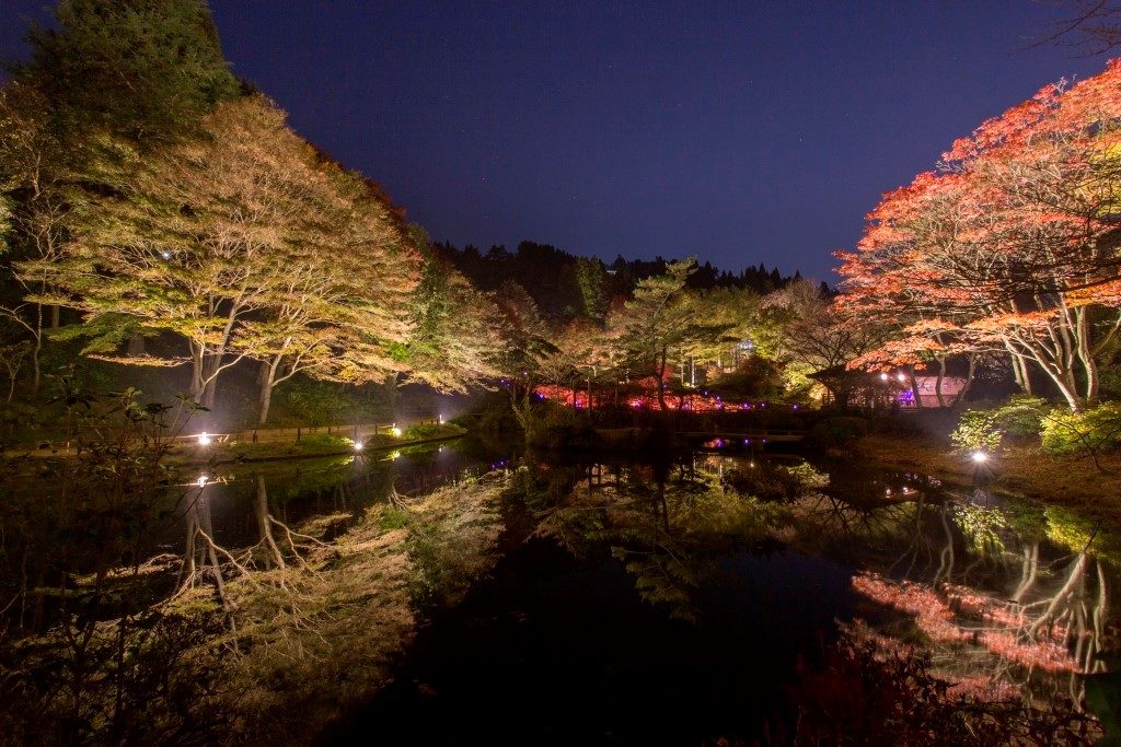 ライトアップされた紅葉とアートを楽しむ 六甲高山植物園