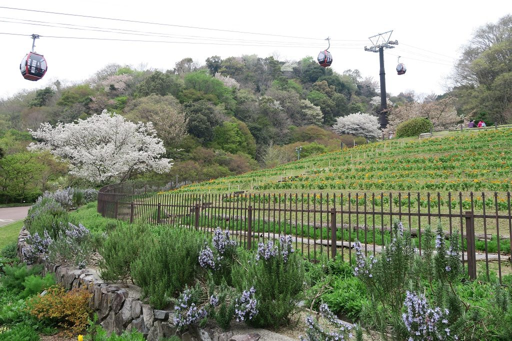 布引ハーブ園