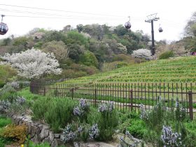 布引ハーブ園