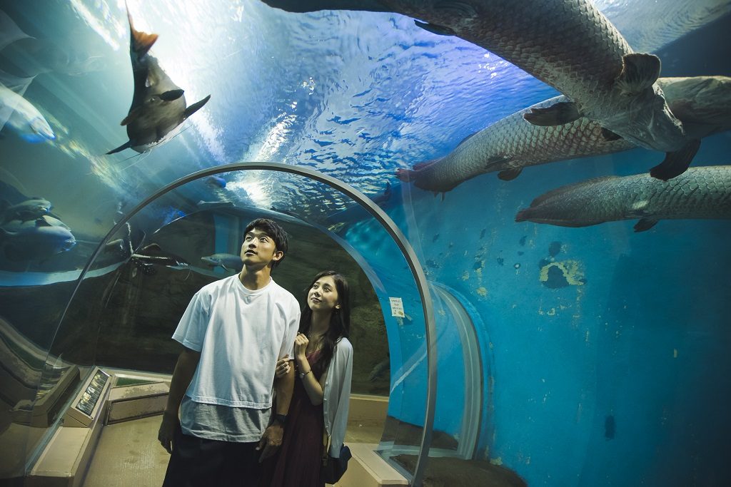 須磨海浜水族園